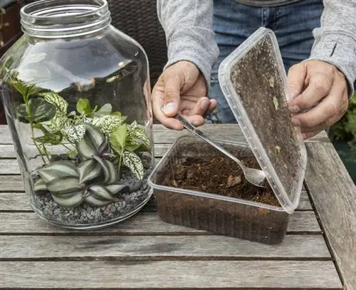Положите существ Боде в стакан