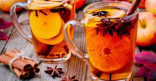 Глинтвейн: 3 вкусных рецепта с алкоголем и без него
