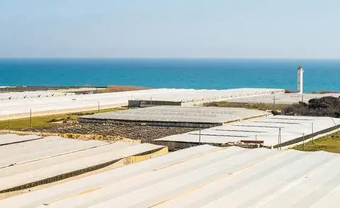 Теплицы в Испании