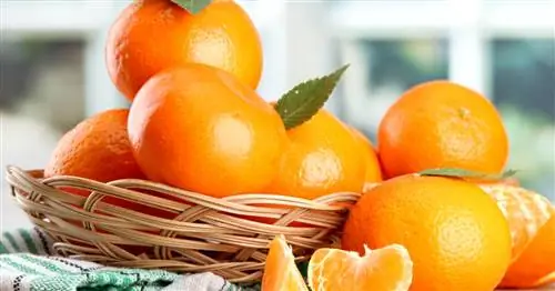 Мандарин или клементин? Различие