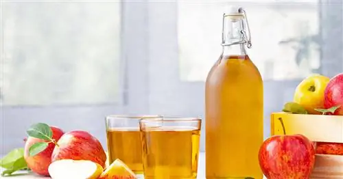 Похудение с яблочным уксусом: как это работает