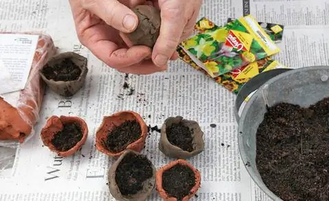 Создайте свои собственные семенные бомбы