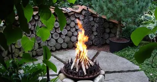 Самые популярные камины в нашем сообществе