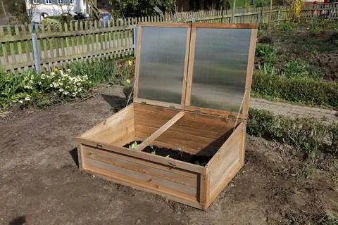 холодный кадр на солнце