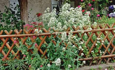 Ограждение из охотничьего забора Ограждение из охотничьего забора