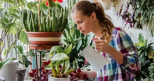 Полив цветов: 5 профессиональных советов