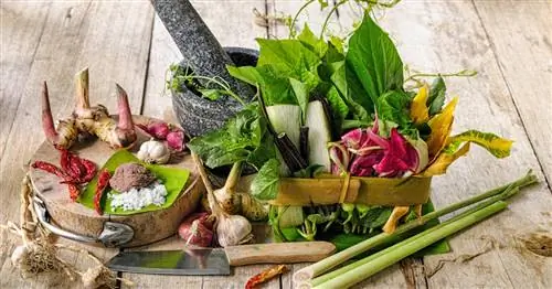 Выращивайте свои азиатские овощи и травы