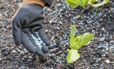 применять гранулы от улиток