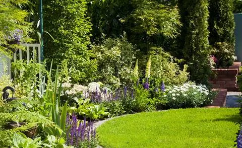 Газон в обрамлении многолетней клумбы