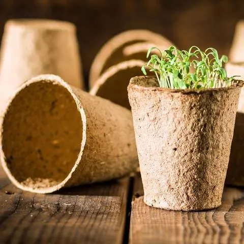 Горшки для выращивания из торфяного мха