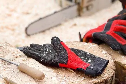 круглый файл и перчатки