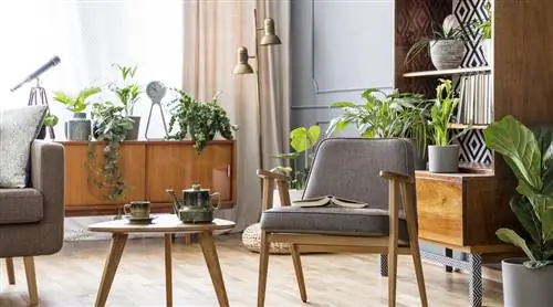 Гостиная с комнатными растениями