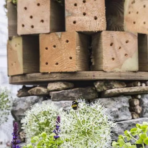 Пособие по гнездованию насекомых