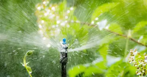 5 советов, как поливать сад в отпуске