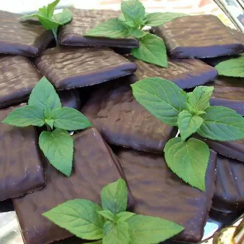 шоколадная мята