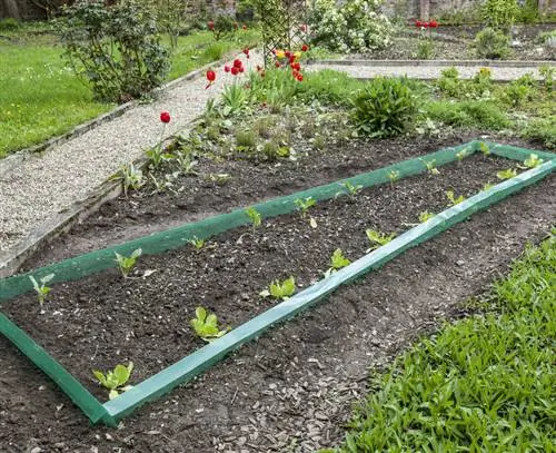 Огород с забором из улиток