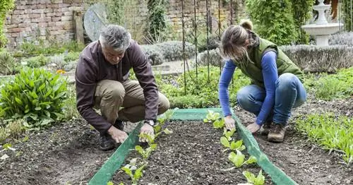 Построй собственный забор из улиток