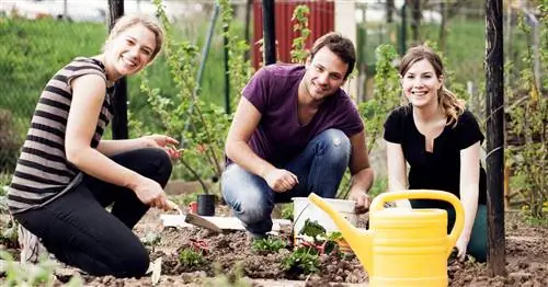 My Beautiful Garden Club: Отличные предложения для подписчиков