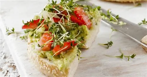 Бублик с кремом из авокадо, клубникой и кончиками спаржи