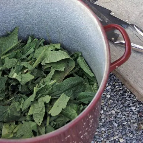 Сделайте свой собственный навоз окопника