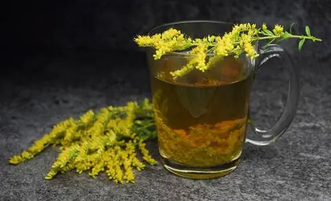 чай из золотарника