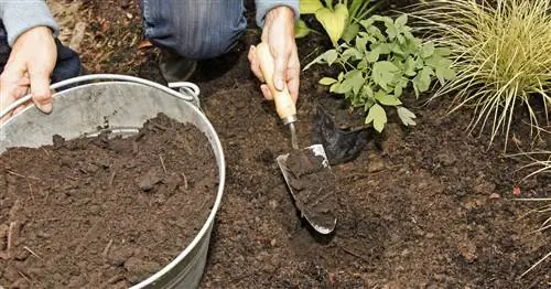 Как увеличить содержание гумуса в вашей садовой почве