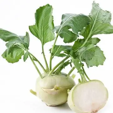 листья кольраби
