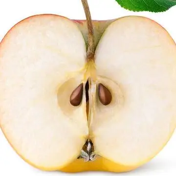 Сердцевина яблока