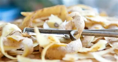 Овощные остатки: слишком плохо для биоконтейнера