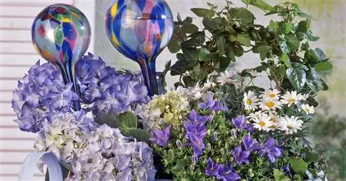 Поливочные шарики: хранилище воды для горшечных растений