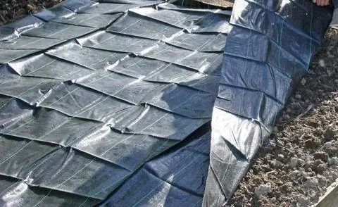 Мульчирующая пленка против сорняков на огороде