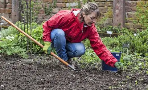 Удаление сорняков культиватором