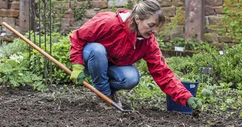 Удаление сорняков без яда: Лучшие методы