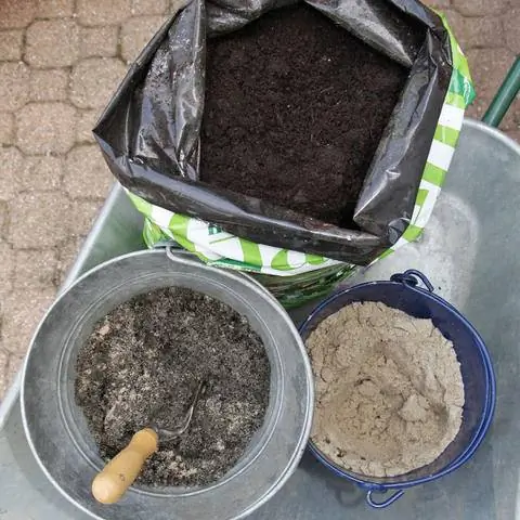 Смешайте почву для рододендронов самостоятельно