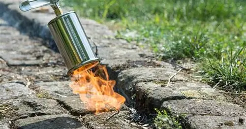 Правильно используйте сжигатель сорняков