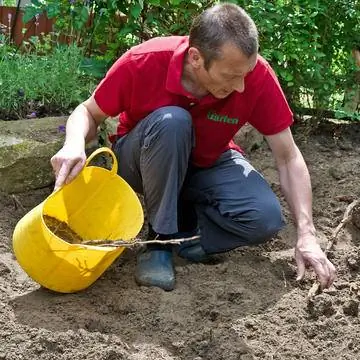 Собирайте камни и кусочки корней