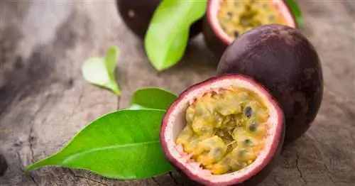 Маракуйя и маракуйя: в чем разница?