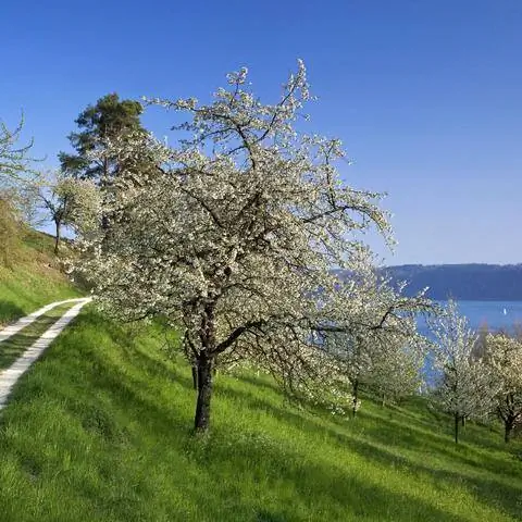 склон холма склон холма