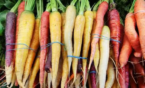 Красочная морковь