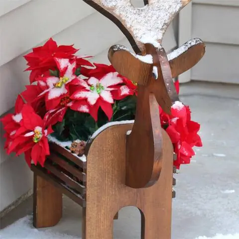 Наружное украшение пуансеттией