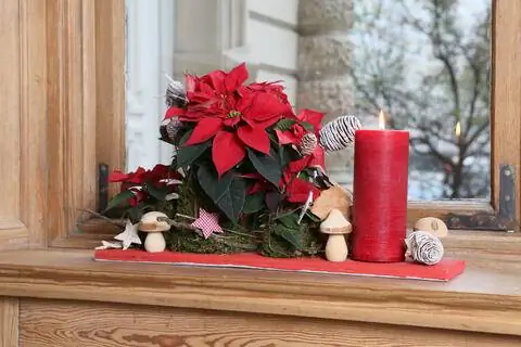 Рождественская звезда на окне