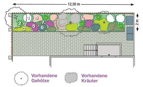 Очаровательный план посадки на затененном участке