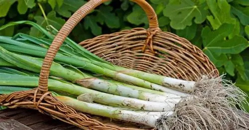 Урожайный календарь на декабрь