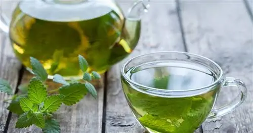 Эти лекарственные растения помогают от стресса