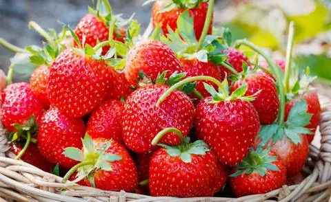 Свежая, спелая клубника