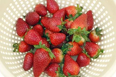 Храните клубнику в пластиковом сите.