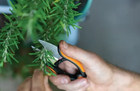 Ножницы для трав Fiskars Solid