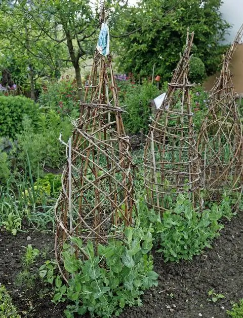 Подъемник для гороха