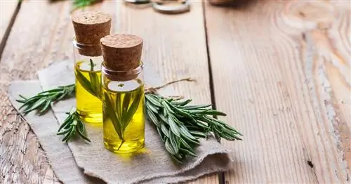 Используйте масло розмарина и приготовьте его самостоятельно