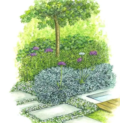 Жевательная резинка 'Gumball' на многолетней клумбе